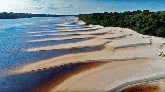 Parque Nacional do Jaú